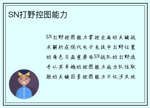 SN打野控图能力